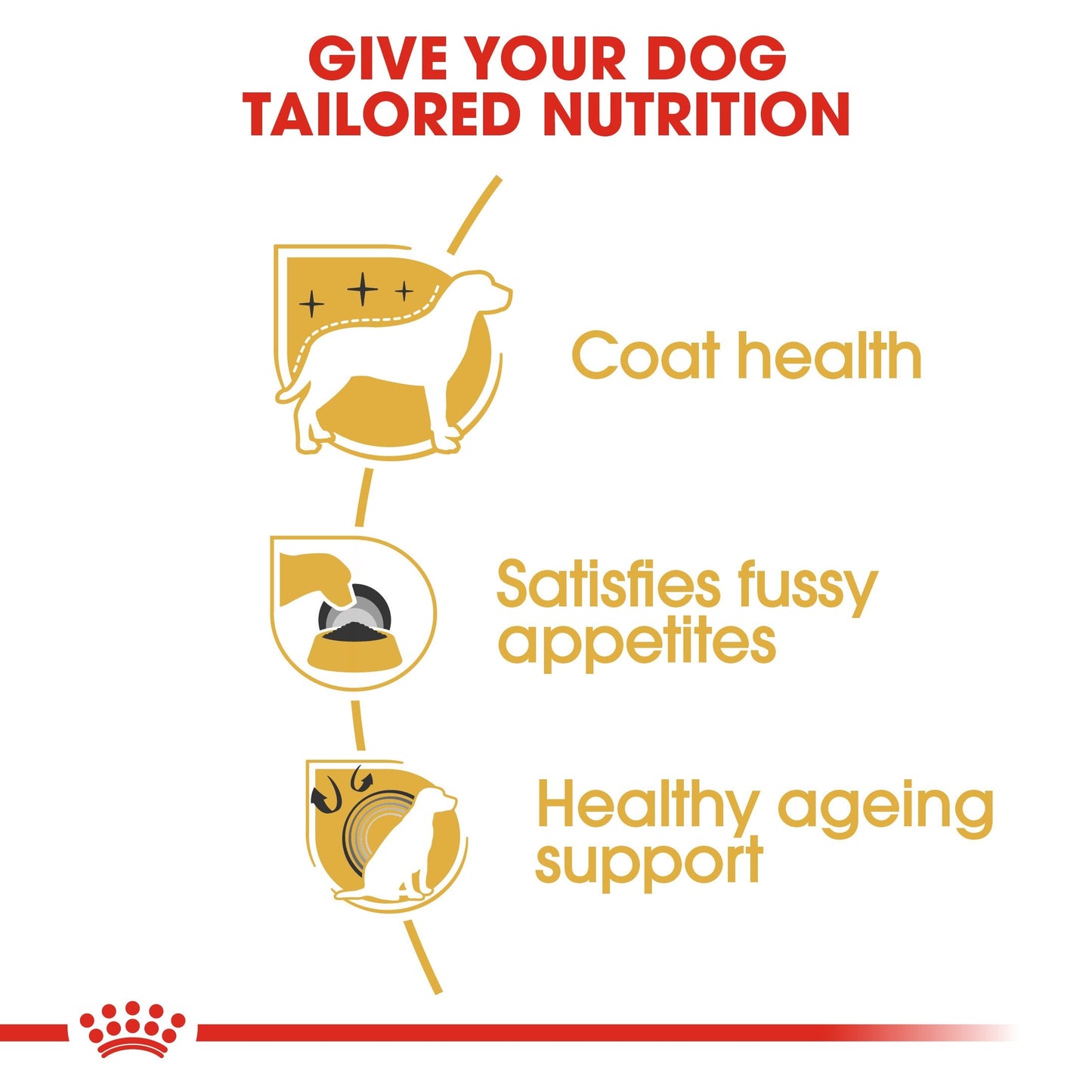 Royal Canin Yorkshire Terrier Adult (1.5 KG) - Dry food for adult dogs over 10 month