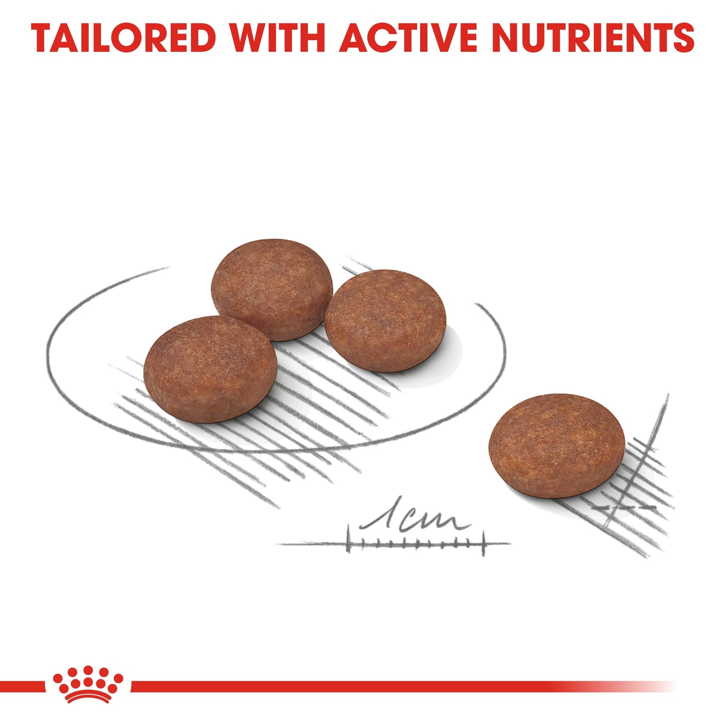 Royal Canin Mini Digestive Care (3 KG) - Dry food for small dogs up to 10 KG prone to digestive sensitivity. Over 10 months