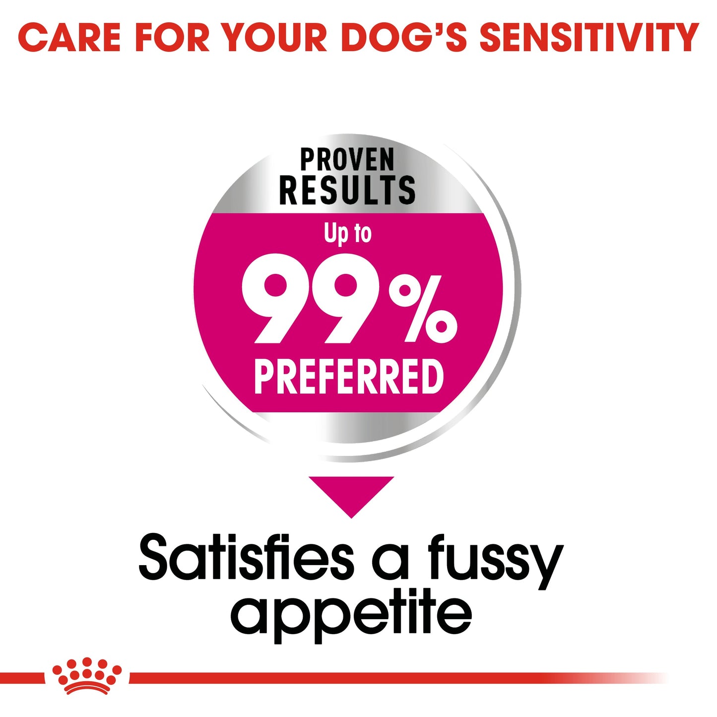 Royal Canin Mini Exigent (3 KG) - Dry food for small dogs up to 10 KG with fussy appetite. Over 10 months