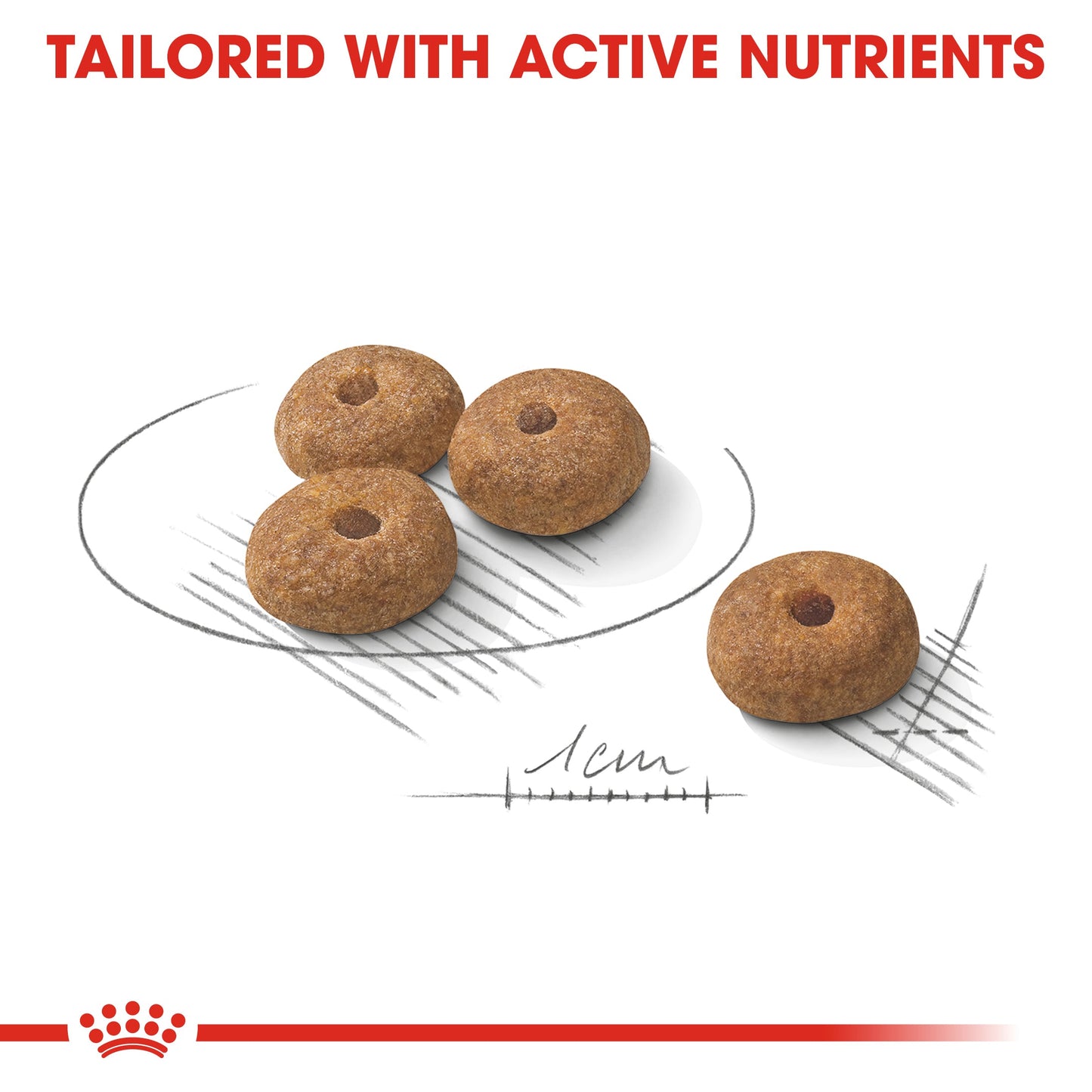 Royal Canin Mini Sterilised (3 KG) - Dry food for small dogs up to 10 KG. Over 10 months