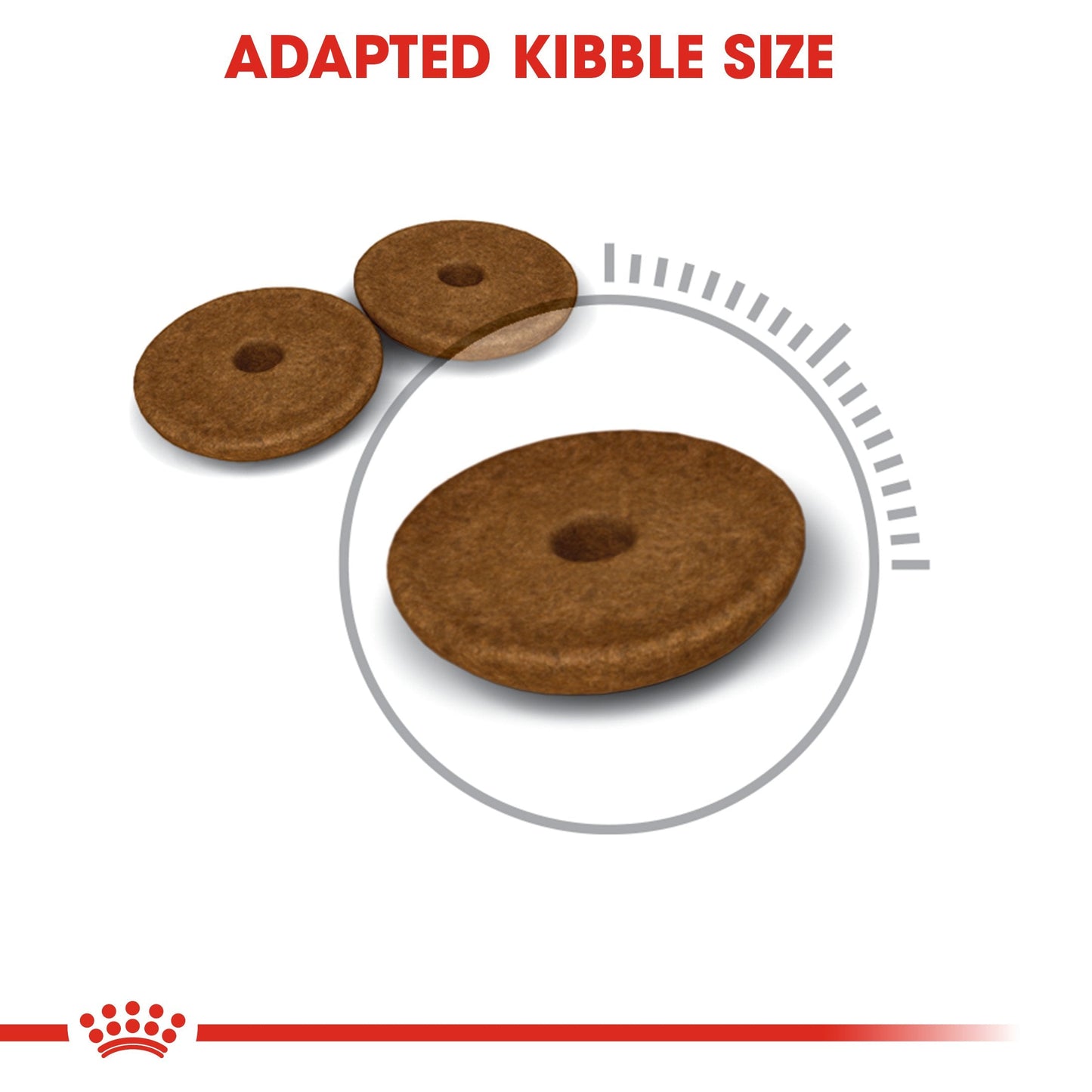Royal Canin - Digestive Care (2 KG) Dry Food - Adult Cats - Helps Support Healthy Digestion
