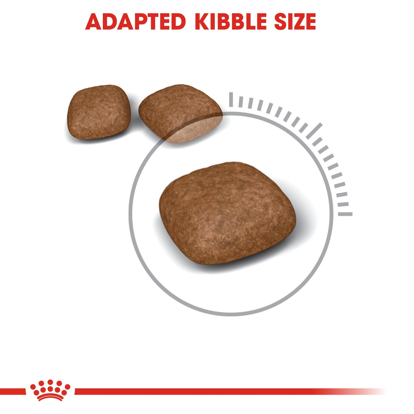 Royal Canin Urinary care (400g)- Dry food for adult cats - Helps maintain urinary tract health