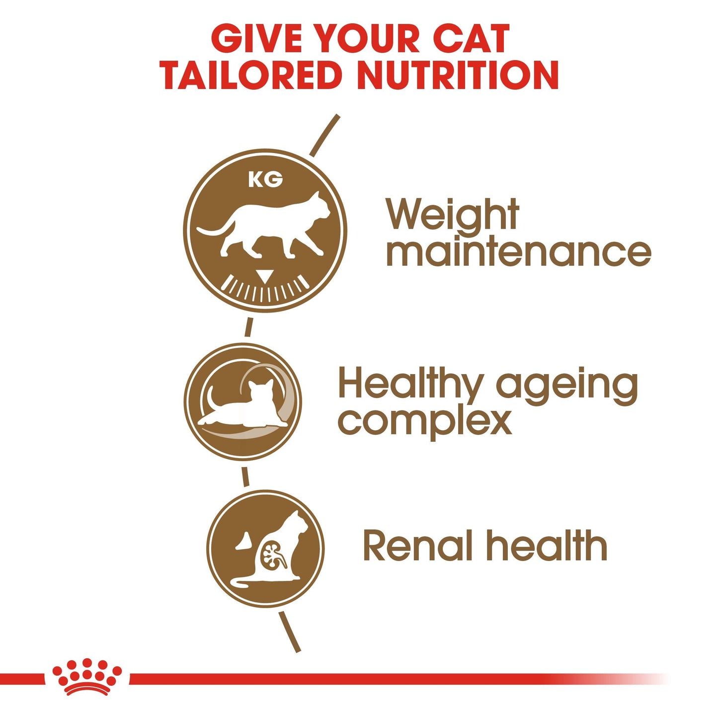 Royal Canin Ageing Sterilised 12+ (2KG) – Neutered cats over 12 years old