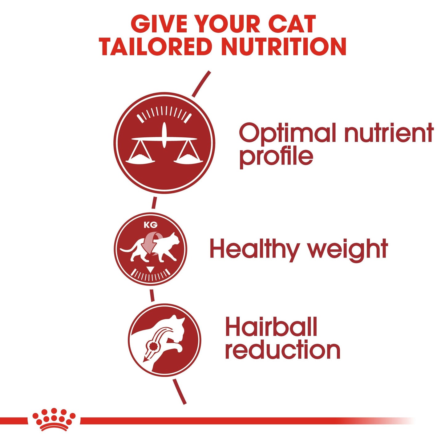 Royal Canin Fit 32 (4KG) Dry food for cats