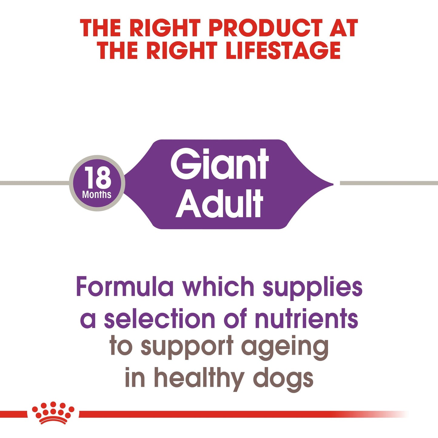 Royal Canin Giant Adult (15KG) - Dry food for giant active dogs. Adult weight from 45 kg and over - over 18\24 months