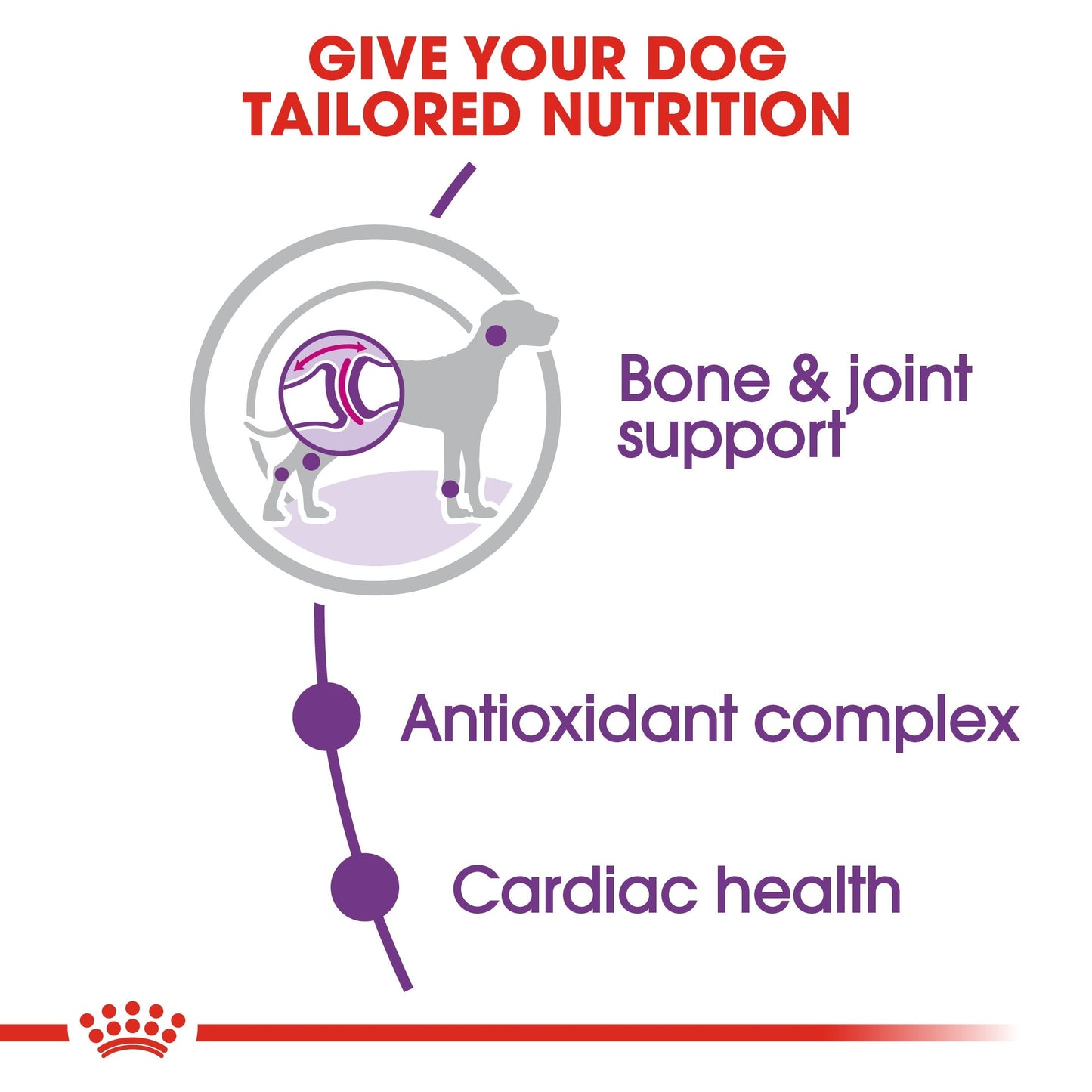 Royal Canin Giant Adult (15KG) - Dry food for giant active dogs. Adult weight from 45 kg and over - over 18\24 months