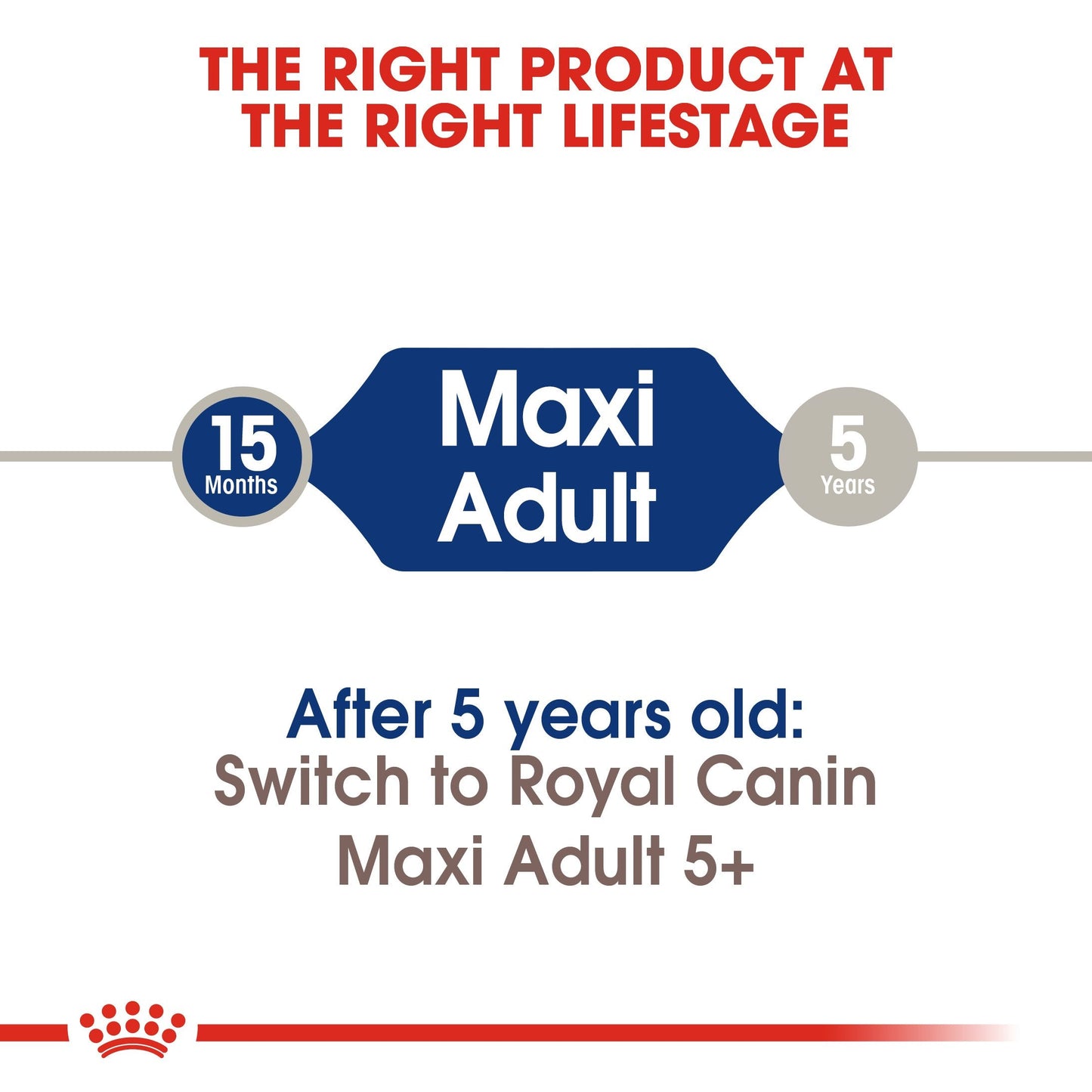 Royal Canin Maxi Adult (15 KG) - Dry food for large dogs from 26 to 44 KG. From 15 months to 5 years old