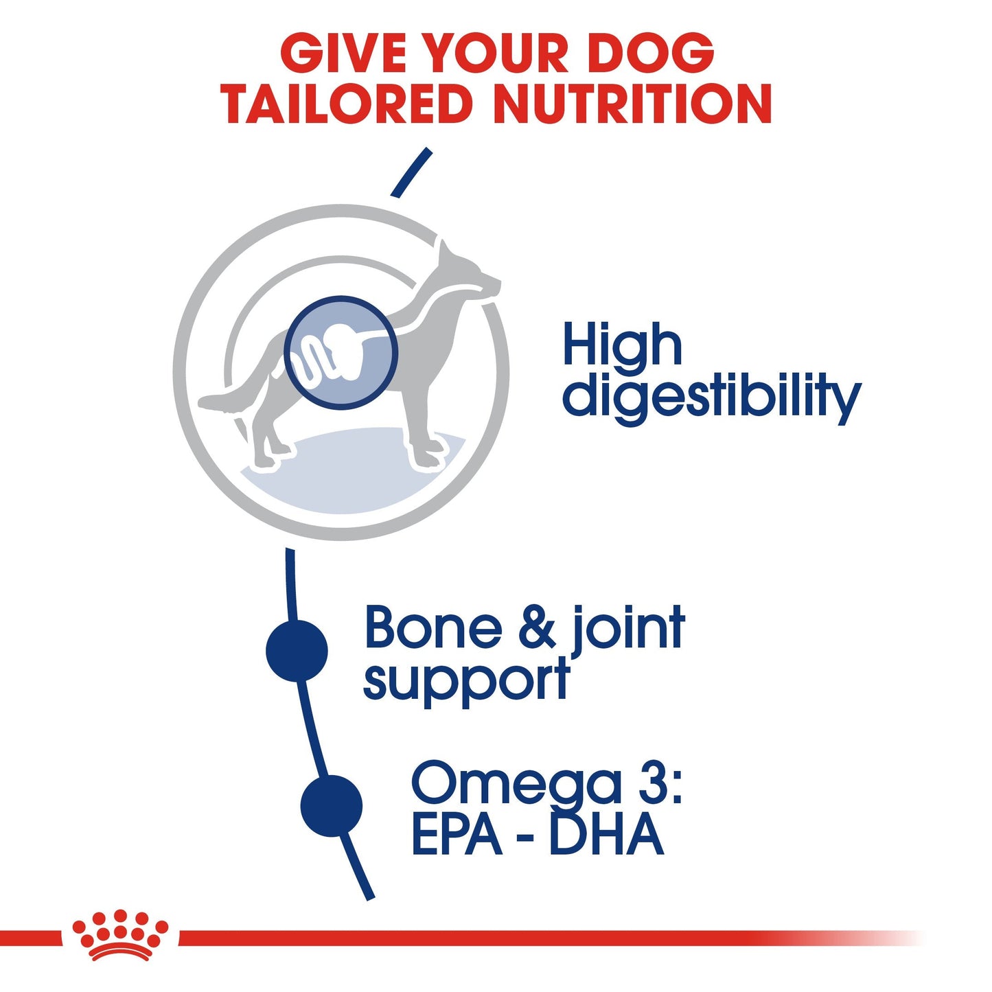Royal Canin Maxi Adult (15 KG) - Dry food for large dogs from 26 to 44 KG. From 15 months to 5 years old
