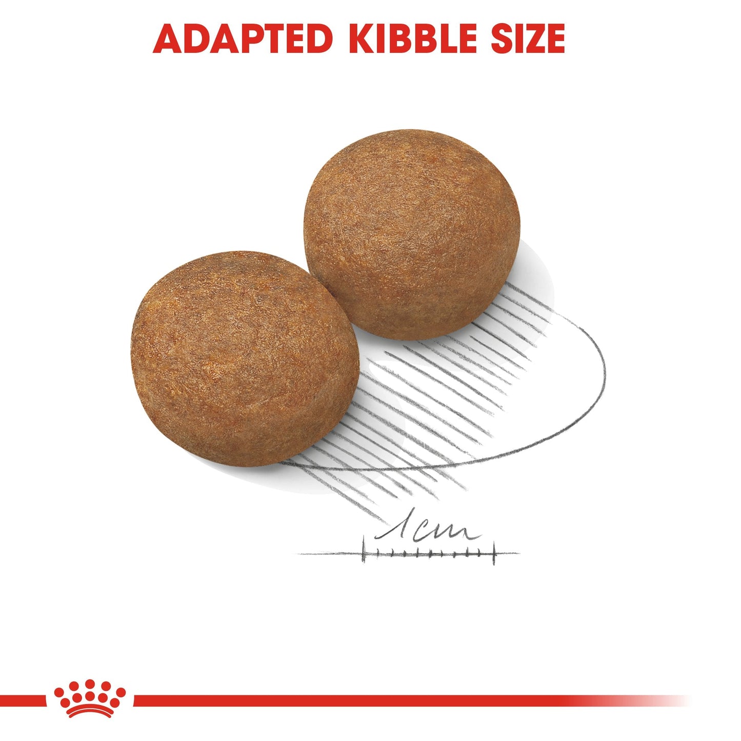 Royal Canin Maxi Adult (15 KG) - Dry food for large dogs from 26 to 44 KG. From 15 months to 5 years old