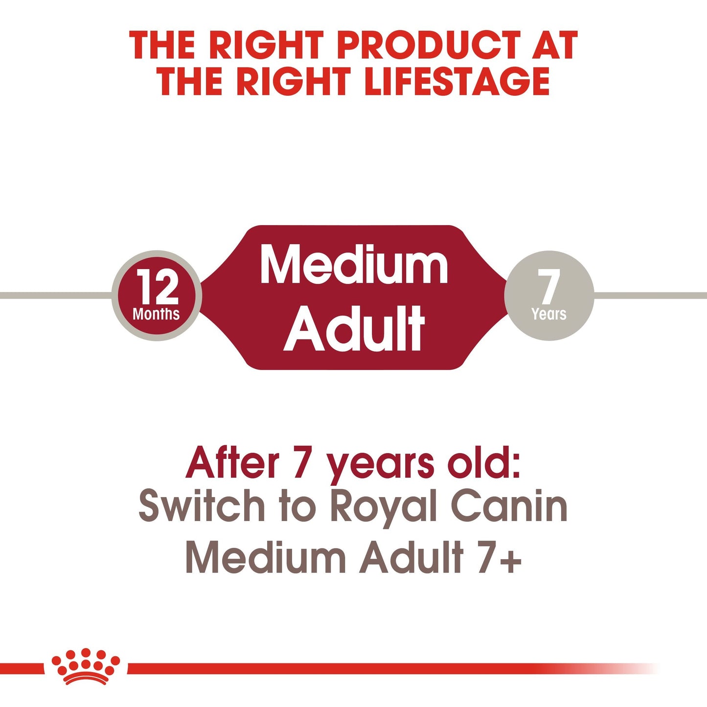 Royal Canin Medium Adult (4 KG) - Dry food for medium dogs from 11 to 25 KG. From 12 months to 7 years
