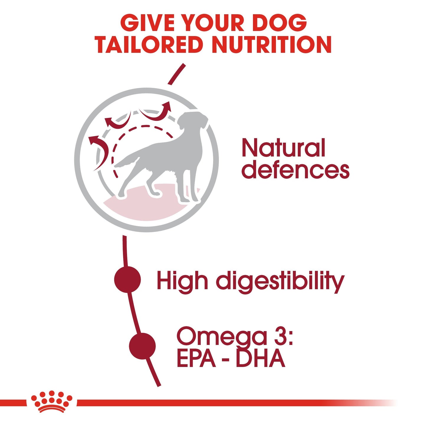 Royal Canin Medium Adult (4 KG) - Dry food for medium dogs from 11 to 25 KG. From 12 months to 7 years