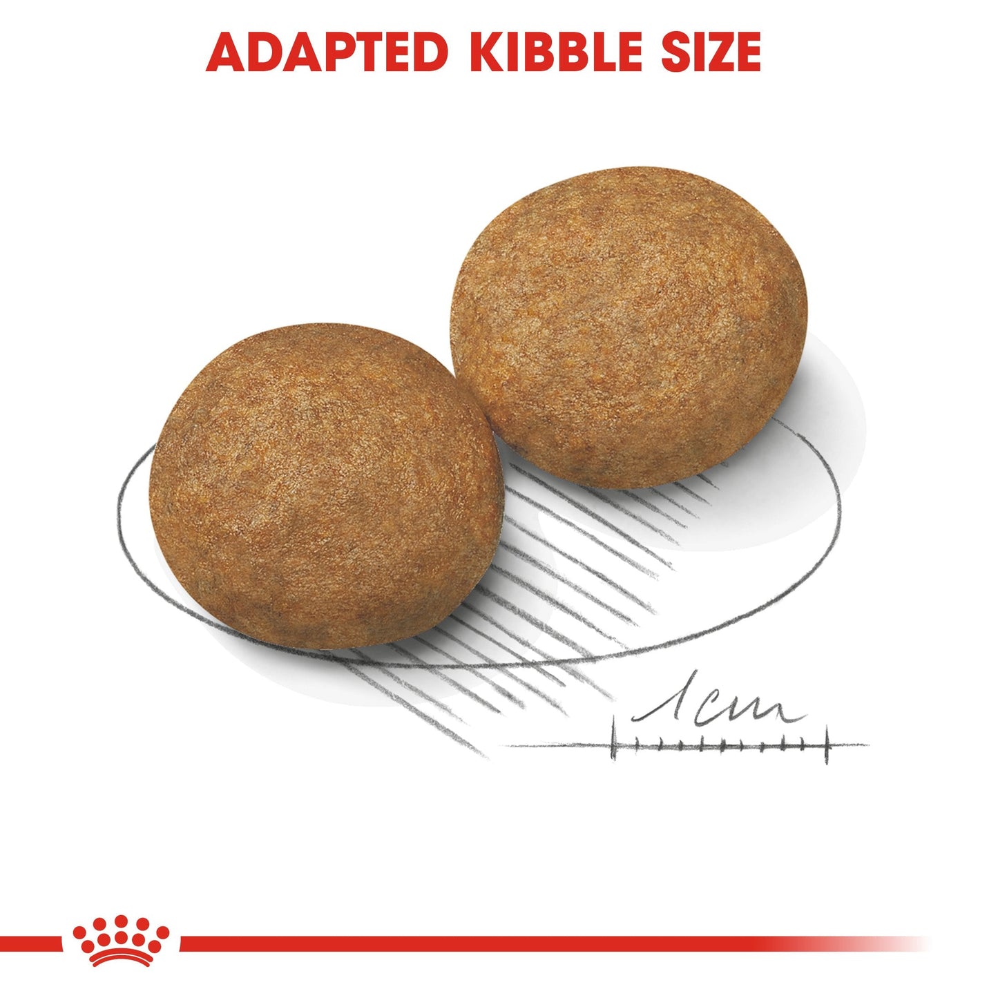 Royal Canin Medium Adult (15KG) - Dry food for medium dogs from 11 to 25 KG. From 12 months to 7 years