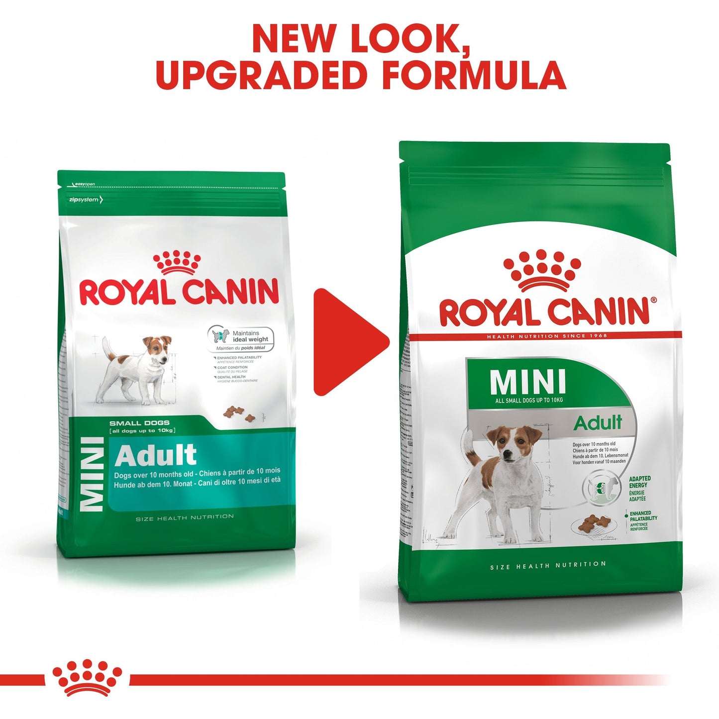 Royal Canin Mini Adult (2KG) - Dry food for small dogs up to 10 KG - form 10 months to 8 years