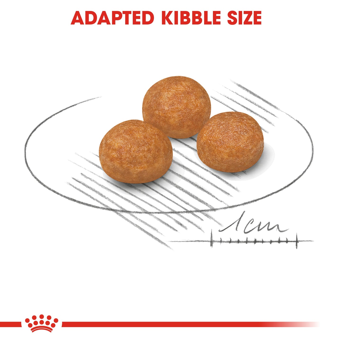 Royal Canin X-Small Adult (1.5 KG) - Dry food for very small dogs up to 4 KG. from 10 months to 8 years
