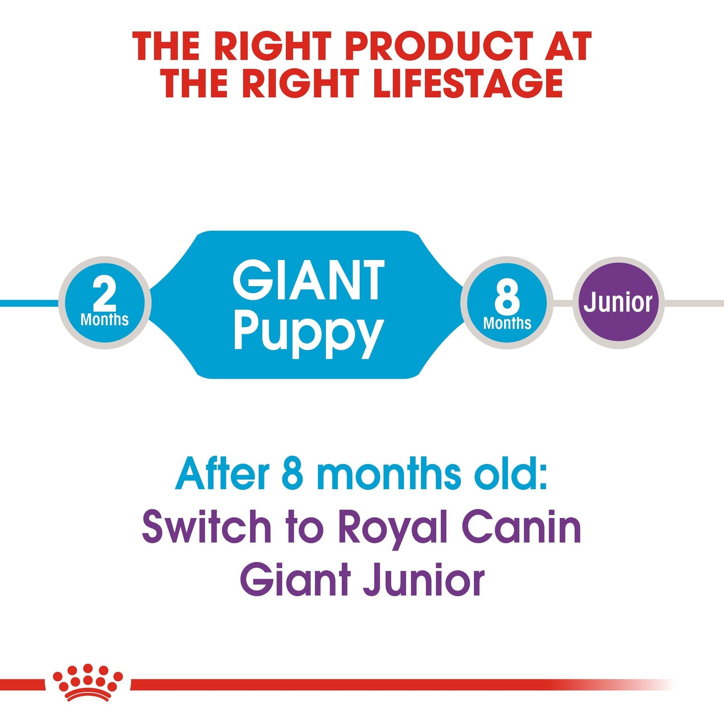 Royal Canin Giant Puppy (3.5 KG) - Dry food for giant dogs. Adult weight from 45 KG and over - from 2 to 8 months old