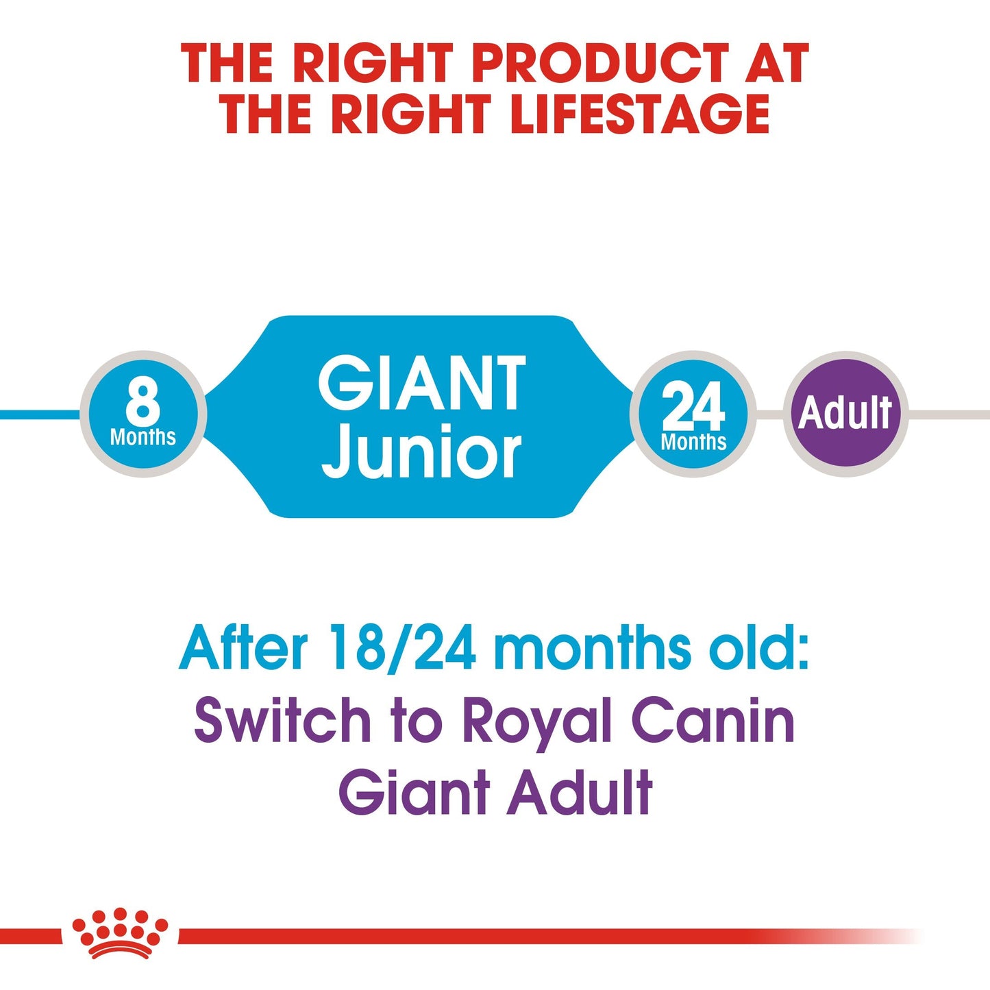 Royal Canin Giant Junior (15 KG) - Dry food for giant dogs - Adults weight from 45 KG and over - from 8 months to 18\24 months