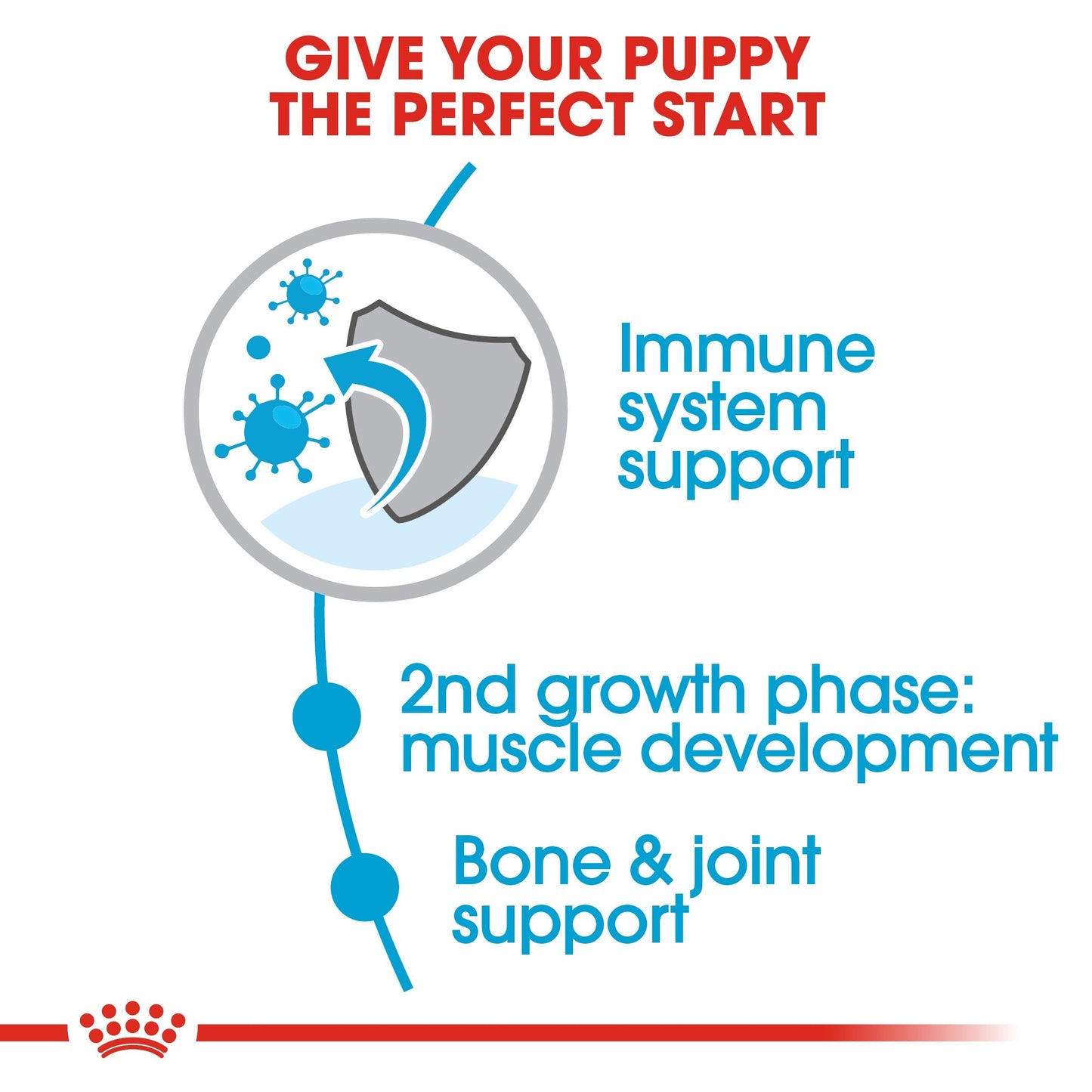 Royal Canin Giant Junior (15 KG) - Dry food for giant dogs - Adults weight from 45 KG and over - from 8 months to 18\24 months