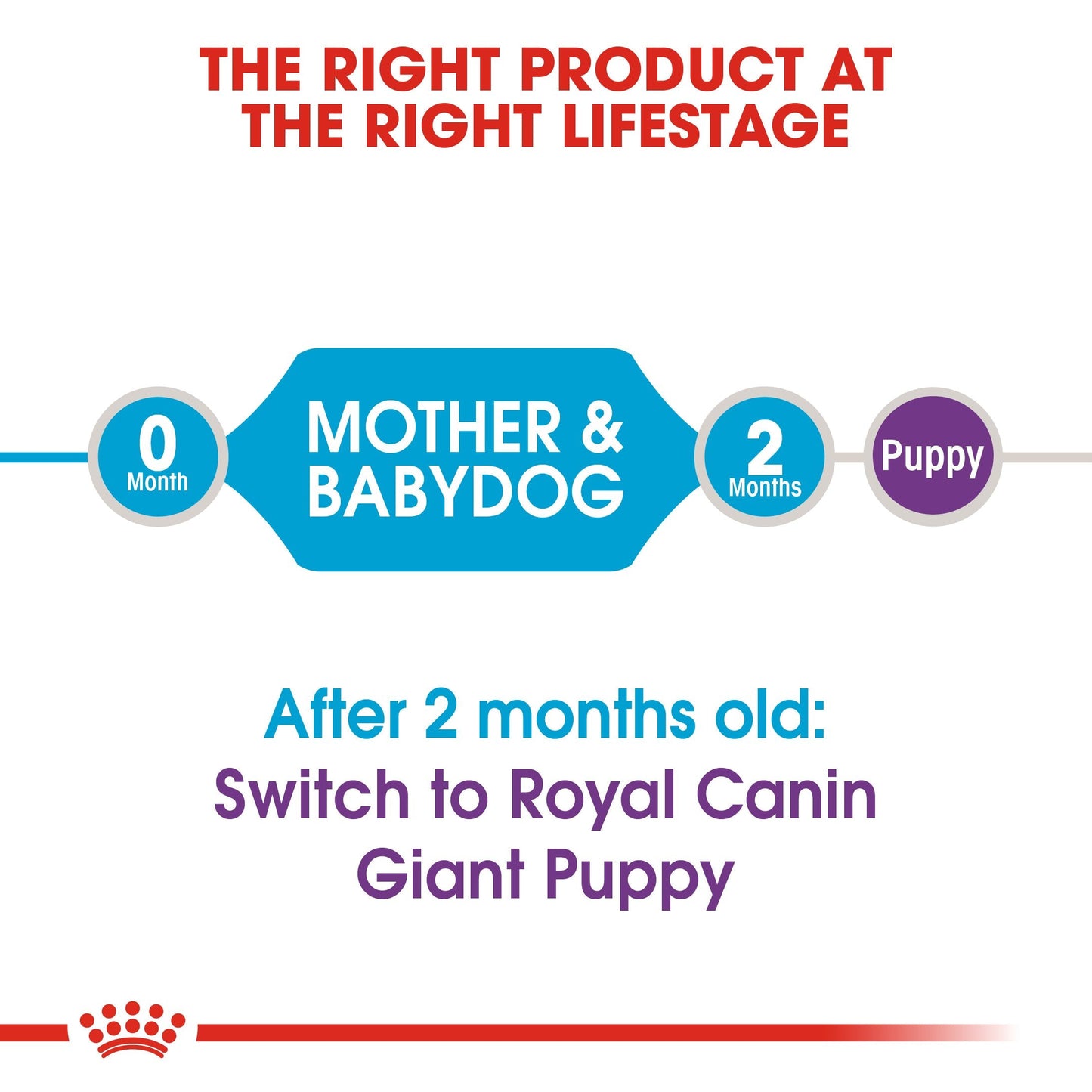 Royal Canin Giant Starter Mother & Babydog (15 KG) - Dry food for giant puppies. Adult weight from 45 KG and over - Mother during gestation and lactation - Weaning puppies up to 2 months
