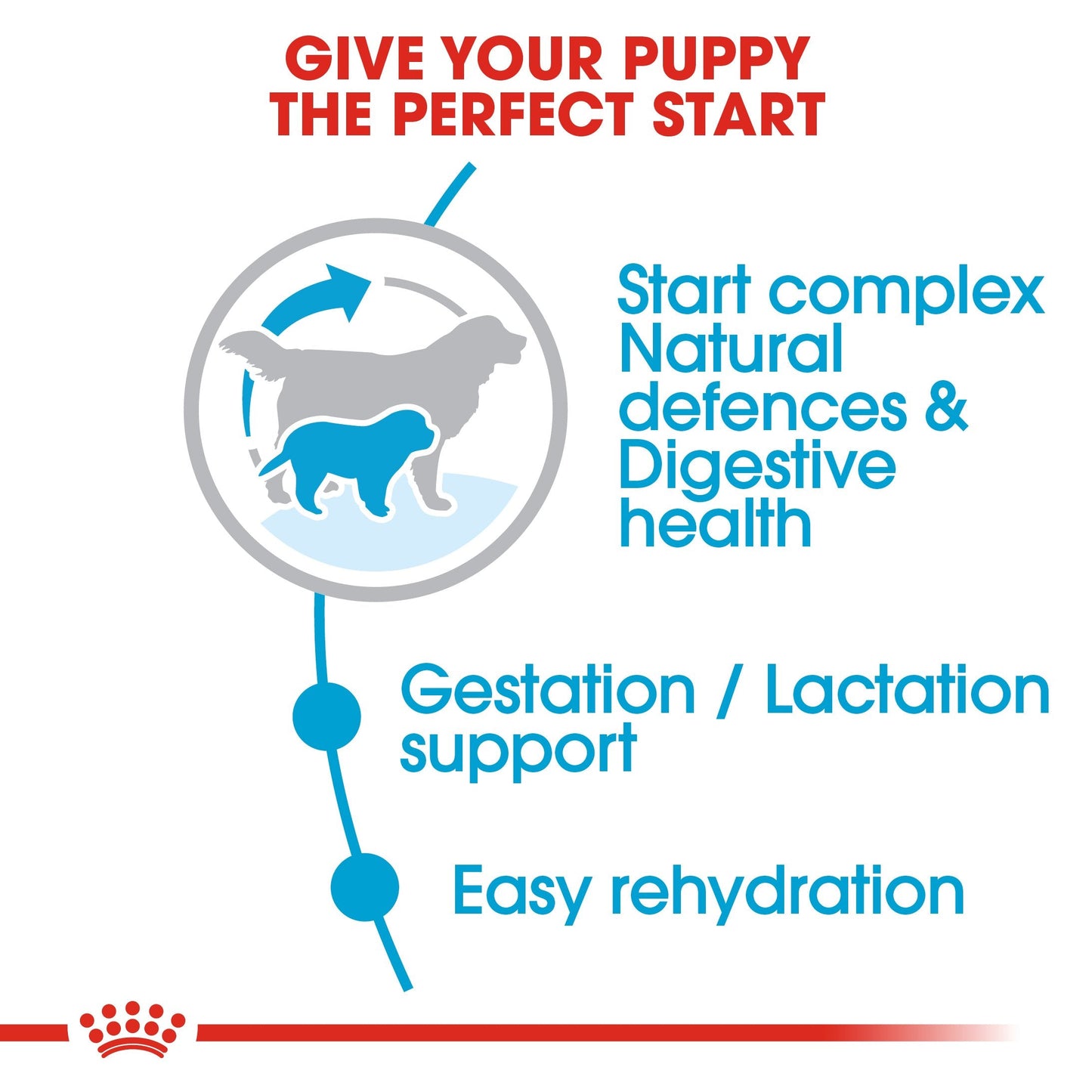 Royal Canin Giant Starter Mother & Babydog (15 KG) - Dry food for giant puppies. Adult weight from 45 KG and over - Mother during gestation and lactation - Weaning puppies up to 2 months
