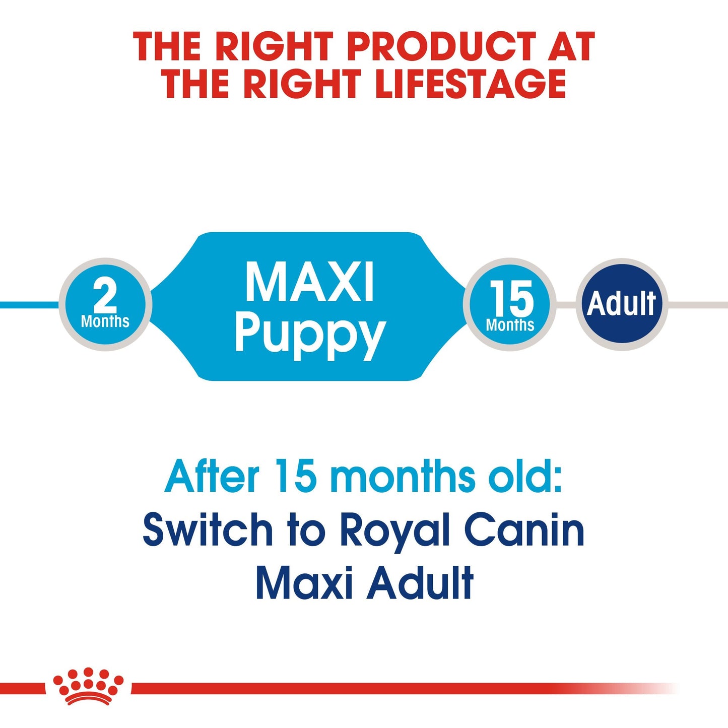 Royal Canin Maxi Puppy (16 KG) - Dry food for large dogs - Adult weight from 26 to 44 KG. From 2 to 15 months