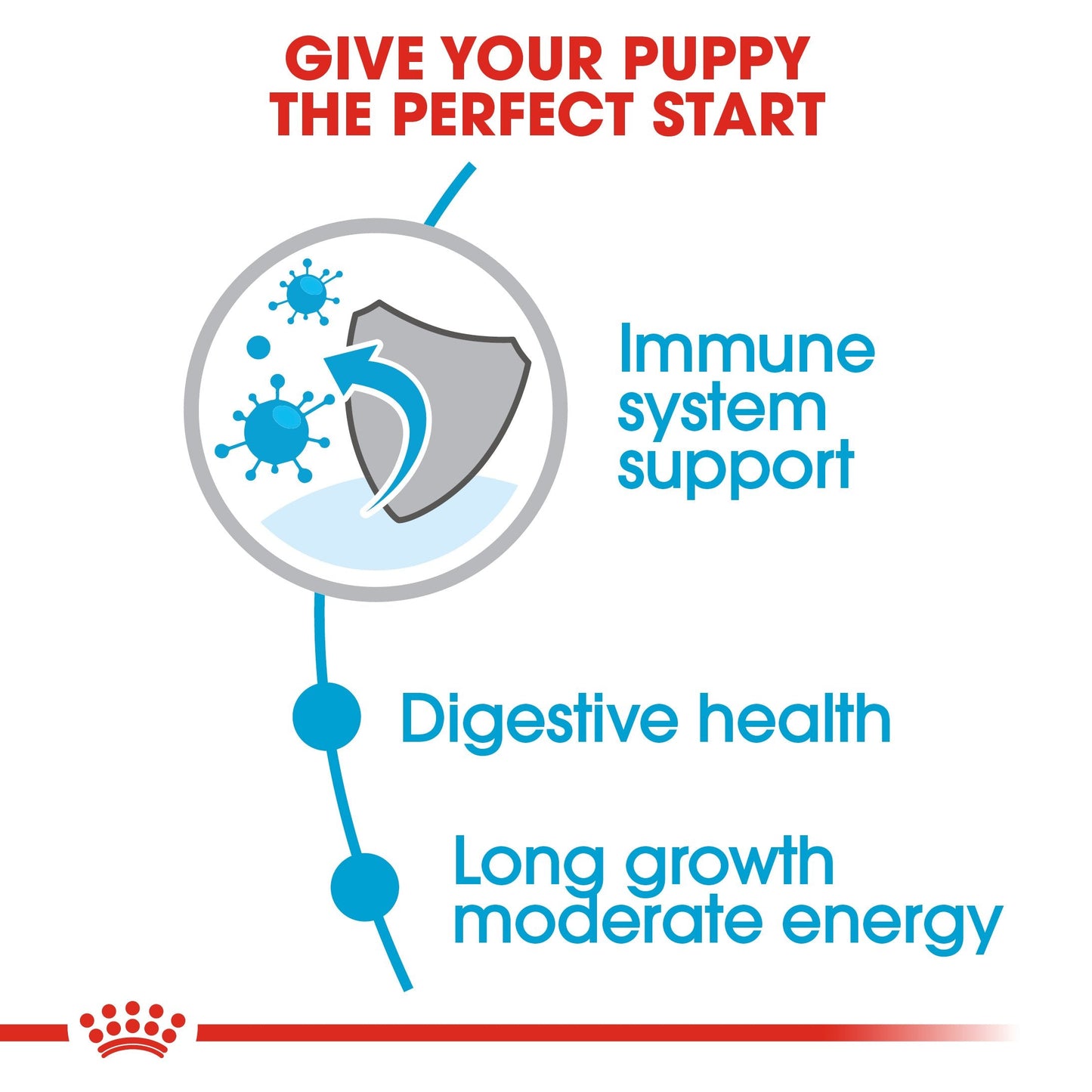 Royal Canin Maxi Puppy (16 KG) - Dry food for large dogs - Adult weight from 26 to 44 KG. From 2 to 15 months