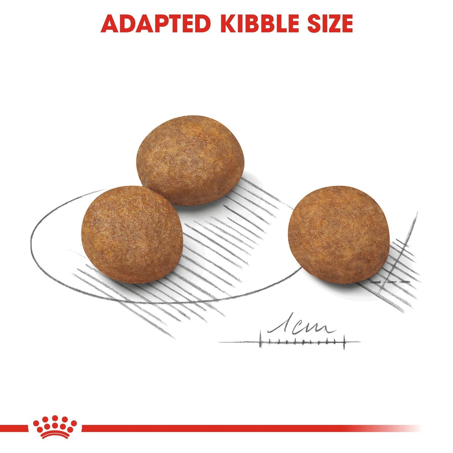 Royal Canin Maxi Puppy (16 KG) - Dry food for large dogs - Adult weight from 26 to 44 KG. From 2 to 15 months
