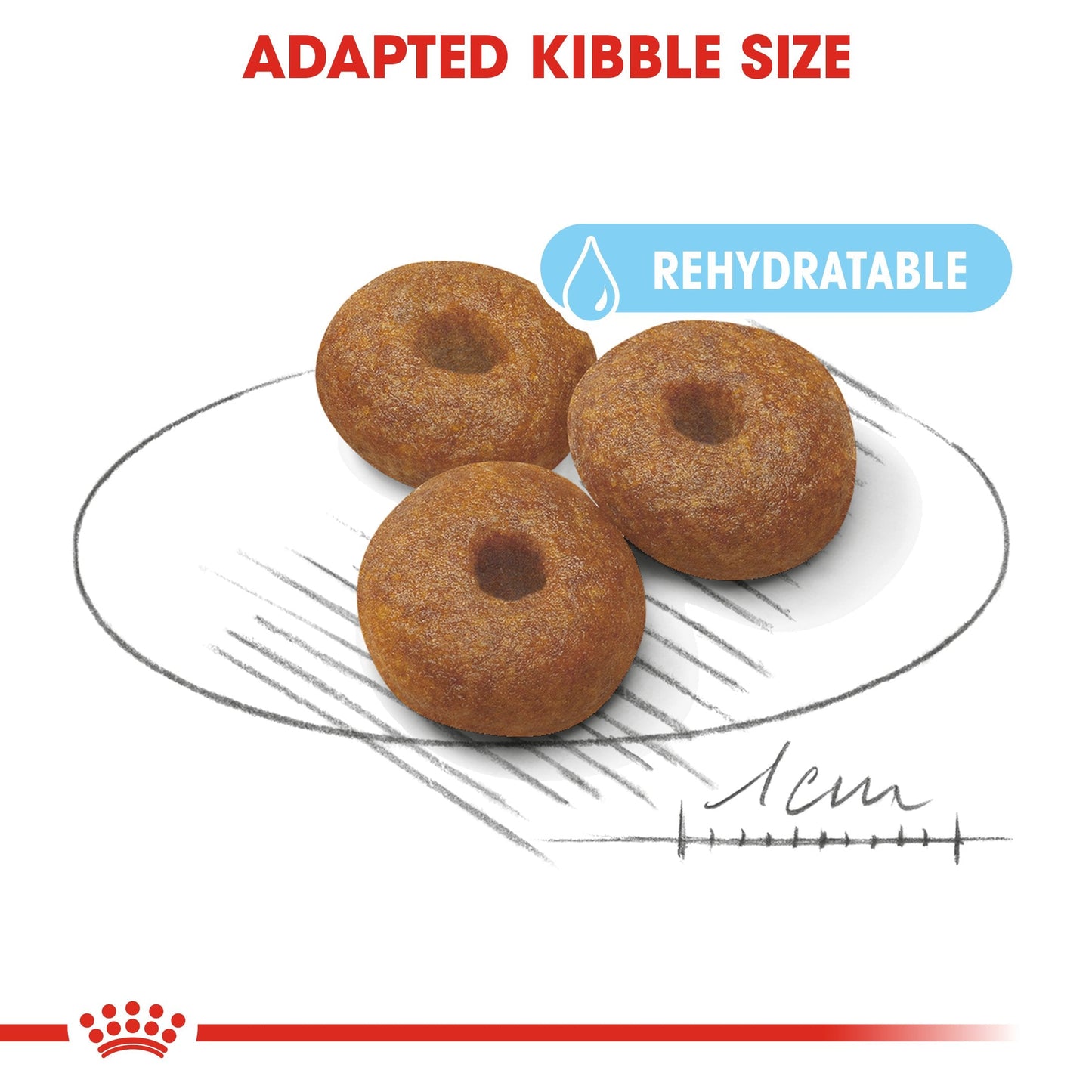 Royal Canin Maxi Starter Mother and Babydog (15 KG) - Dry food for large puppies - Adult weight between 26 and 44 KG. Mother during gestation and lactation - Weaning puppies up to 2 months