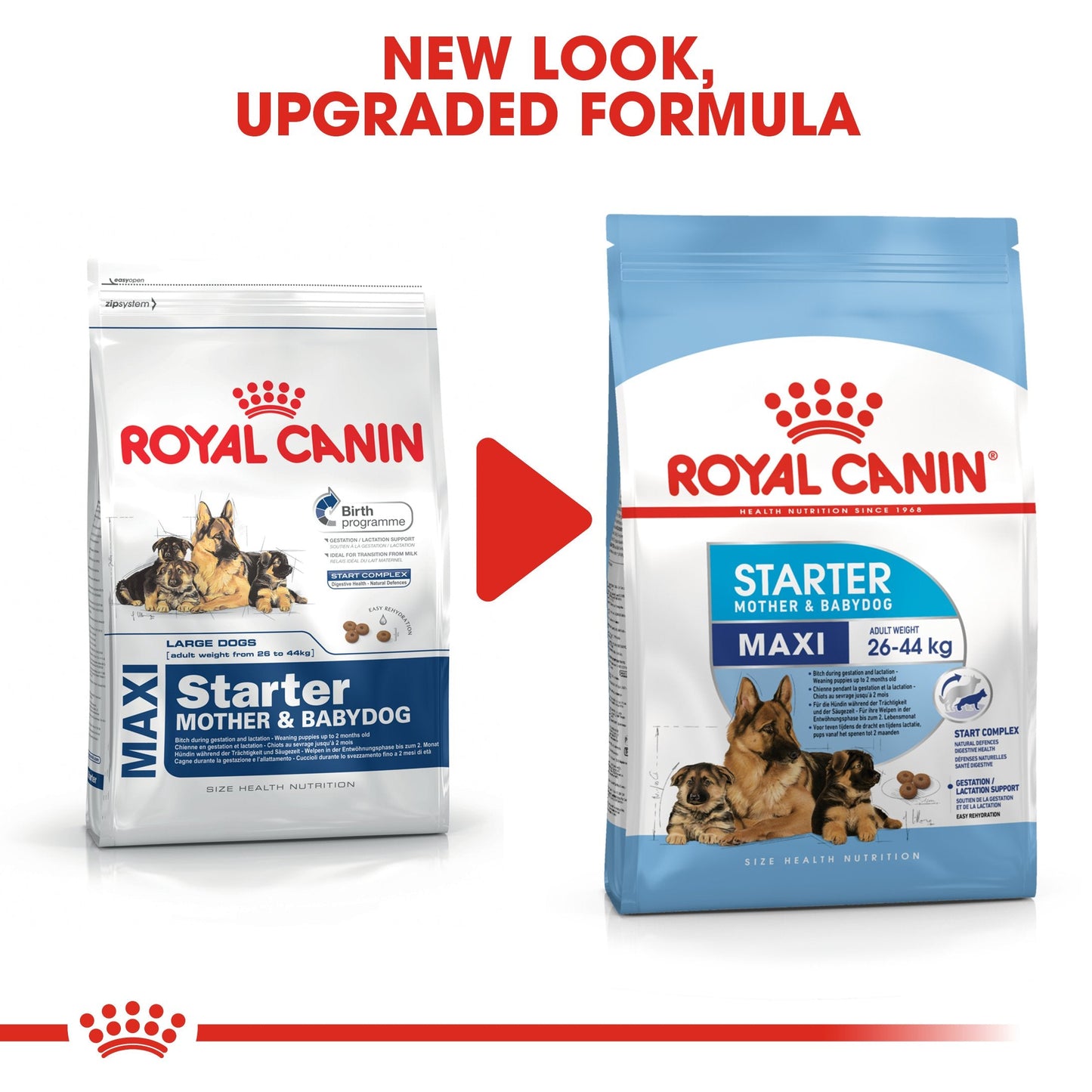 Royal Canin Maxi Starter Mother and Babydog (4 KG) - Dry food for large puppies - Adult weight between 26 and 44 KG. Mother during gestation and lactation - Weaning puppies up to 2 months