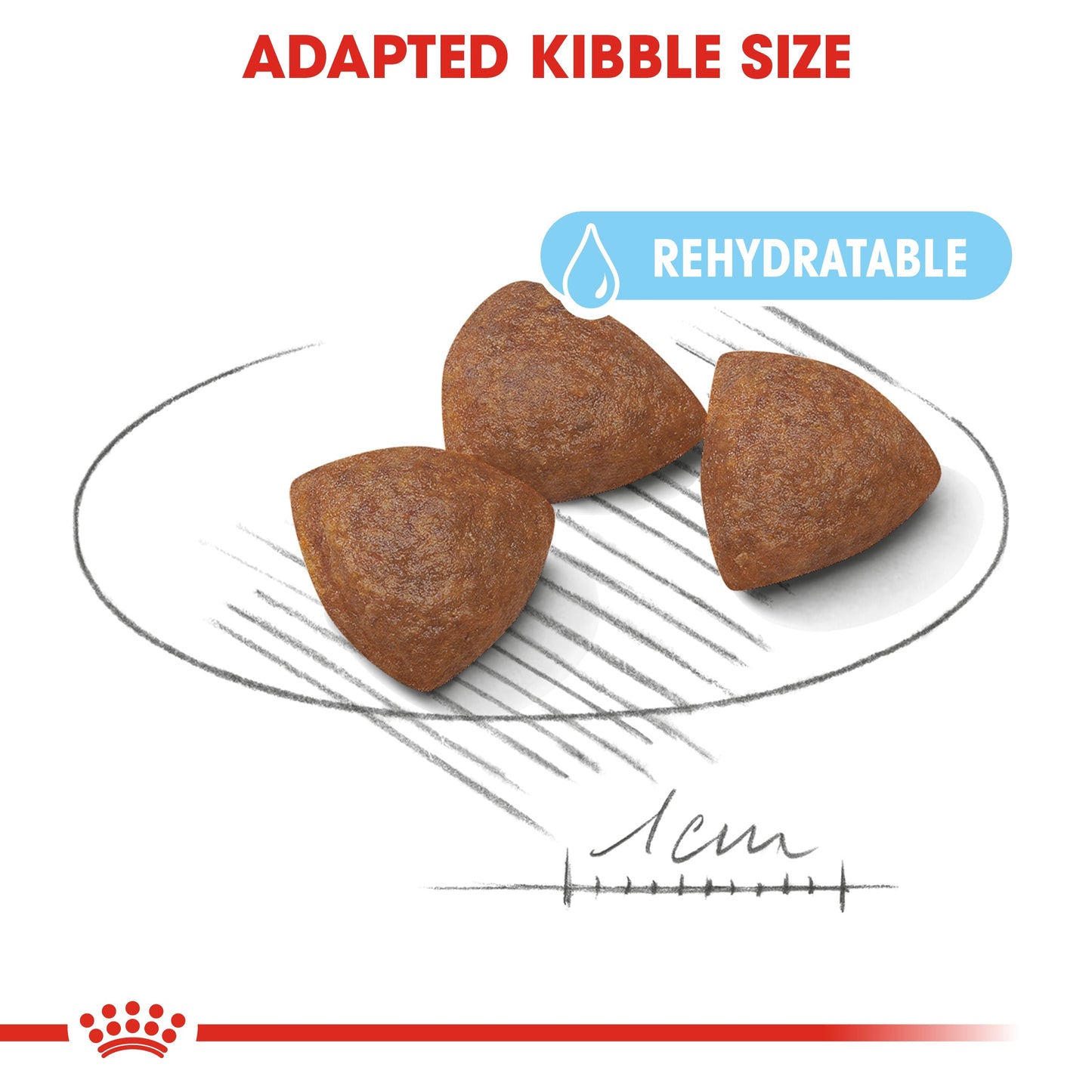 Royal Canin Medium Starter Mother and Babydog (4kg) - for medium dogs - Adult weight between 11 and 25 KG. Mother during gestation and lactation - weaning puppies up to 2 months