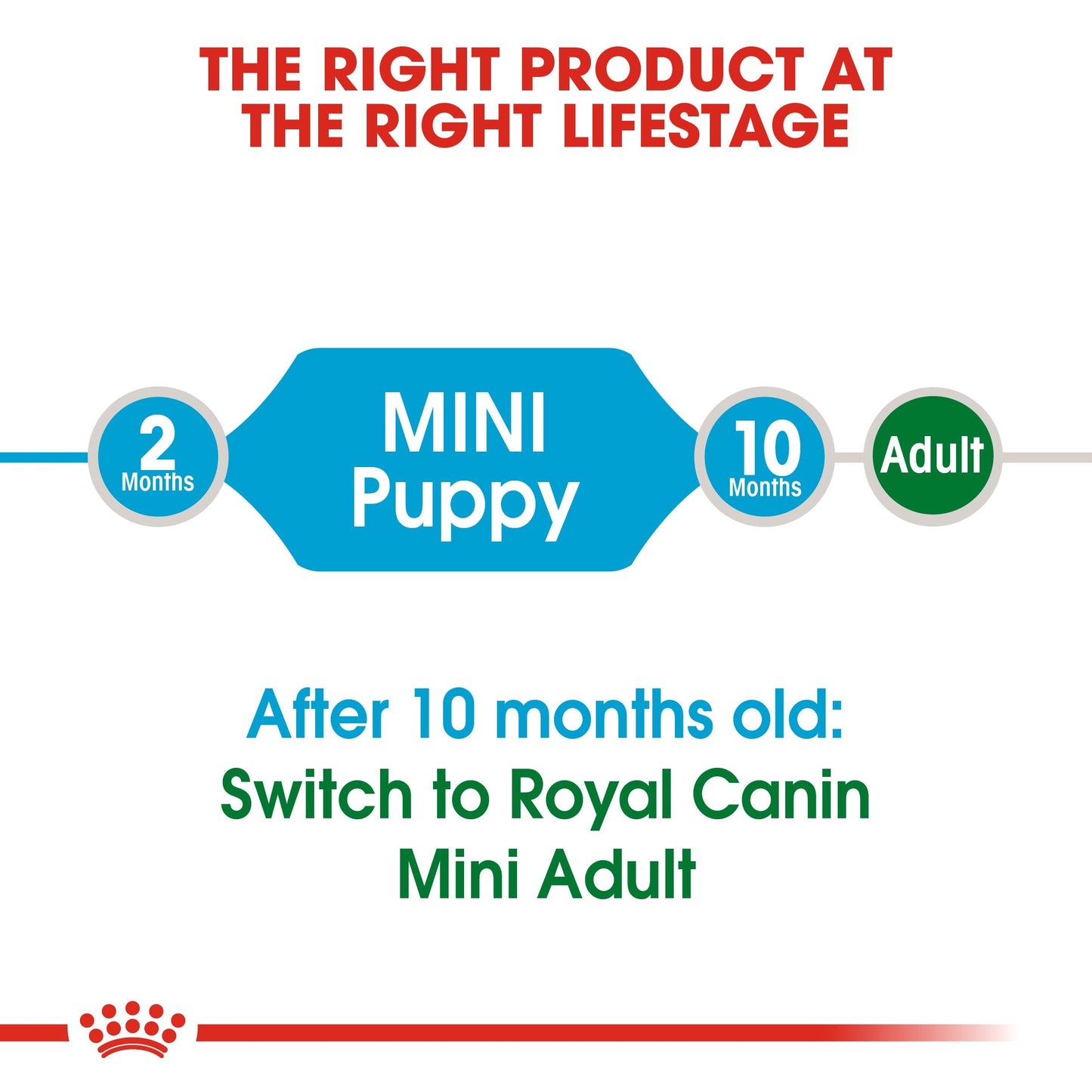 Royal Canin Mini Puppy (2KG) - Dry food for small dogs - Adult weight up to 10 KG From 2 to 10 months old