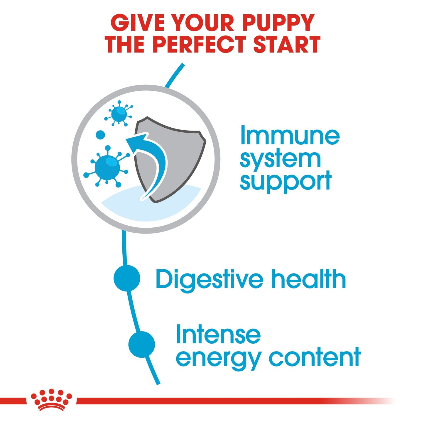 Royal Canin Mini Puppy (2KG) - Dry food for small dogs - Adult weight up to 10 KG From 2 to 10 months old