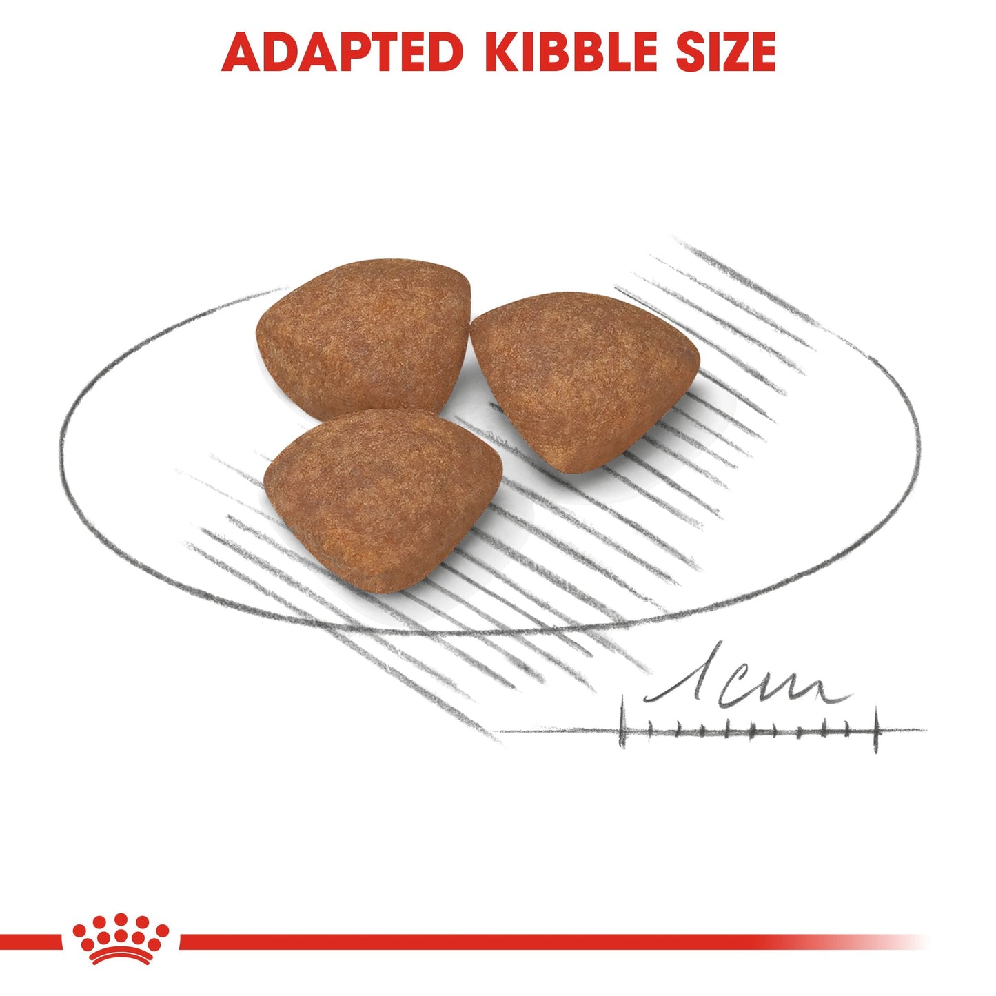 Royal Canin Mini Puppy (2KG) - Dry food for small dogs - Adult weight up to 10 KG From 2 to 10 months old