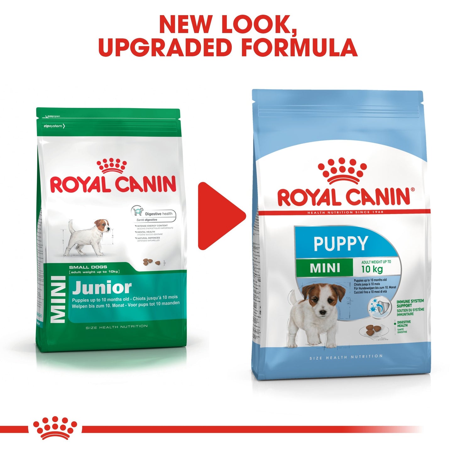 Royal Canin Mini Puppy (2KG) - Dry food for small dogs - Adult weight up to 10 KG From 2 to 10 months old