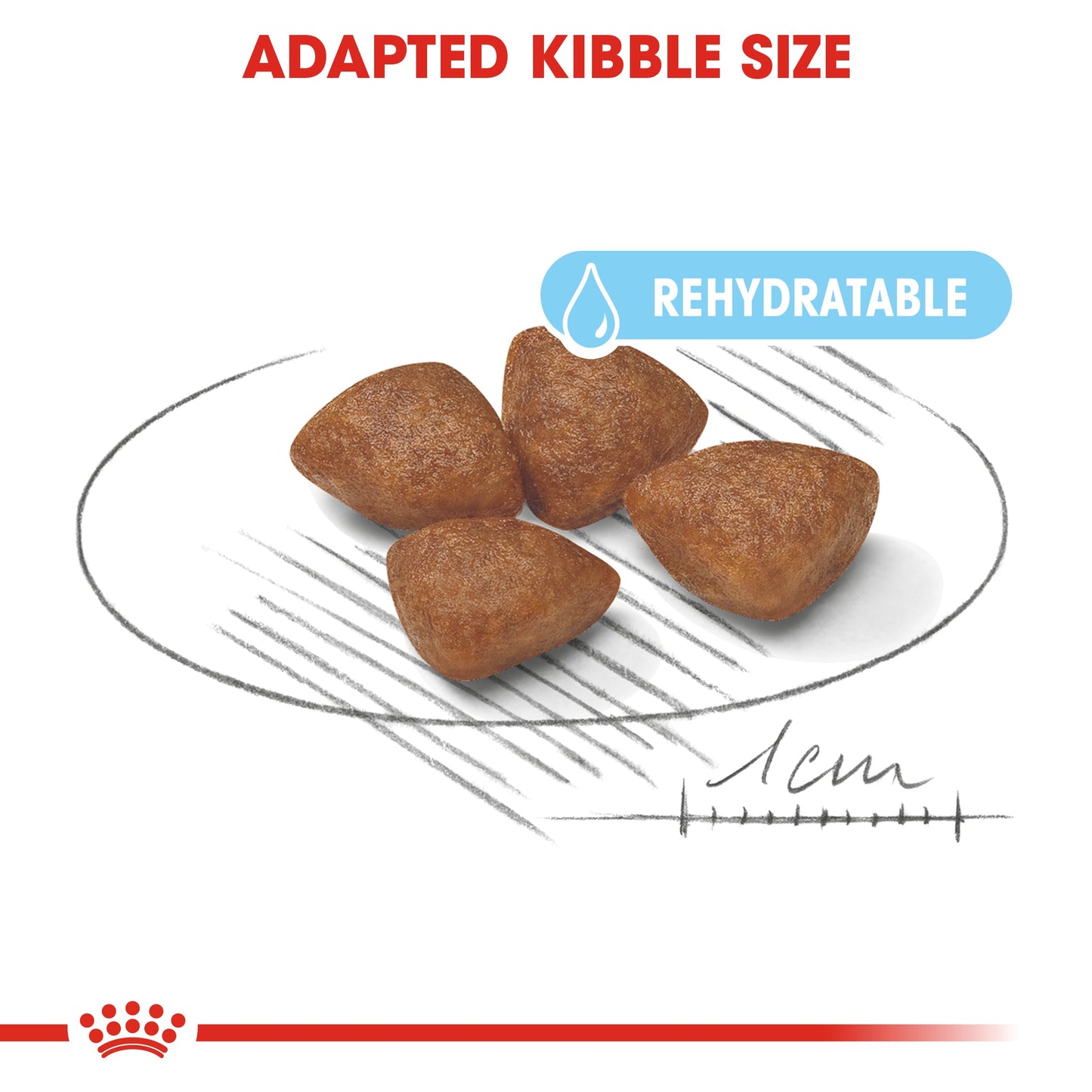 Royal Canin Mini Starter Mother & Babydog (1 KG) - Dry food for mini puppies. Adult weight up to 10 KG - Mother during gestation and lactation - Weaning puppies up to 2 months