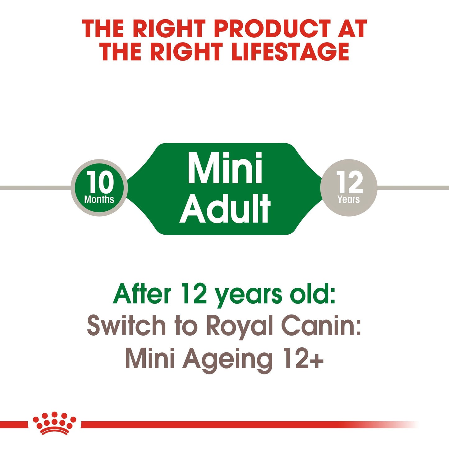 Royal Canin Mini Adult in Gravy (85 gm\pouch) - wet food for small dogs up to 10 KG - form 10 months to 8 years
