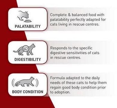 Royal Canin SC 365D (15 KG) - Dry food for Sterilised adult cats over 1 year living in shelters or rescue centers