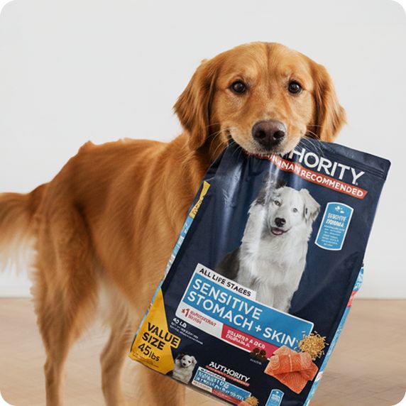 Dog Food