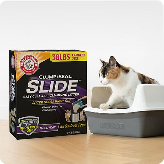 Cat Litter