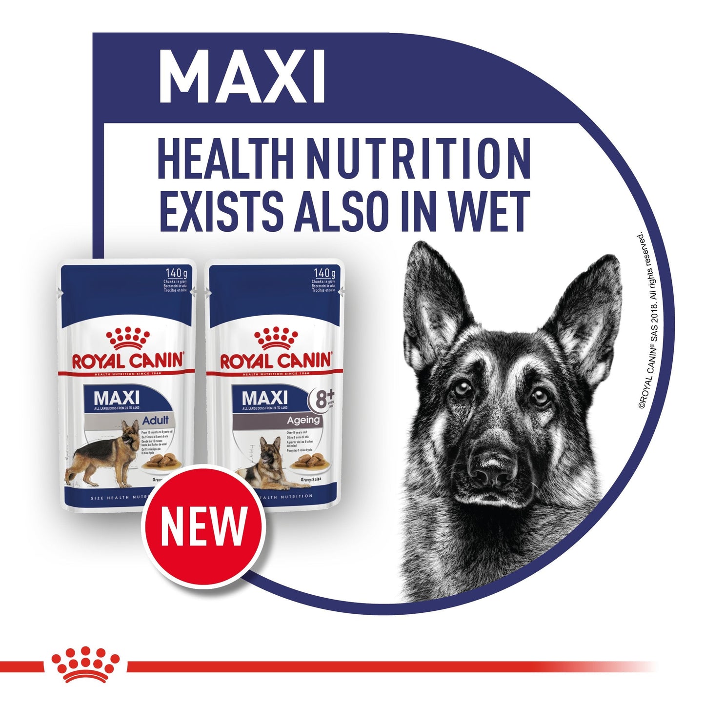 Royal Canin Maxi Adult (15 KG) - Dry food for large dogs from 26 to 44 KG. From 15 months to 5 years old