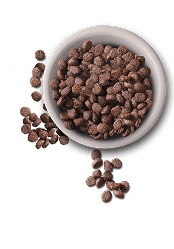 LEONARDO Adult Cat Dry Food with Fish 300g